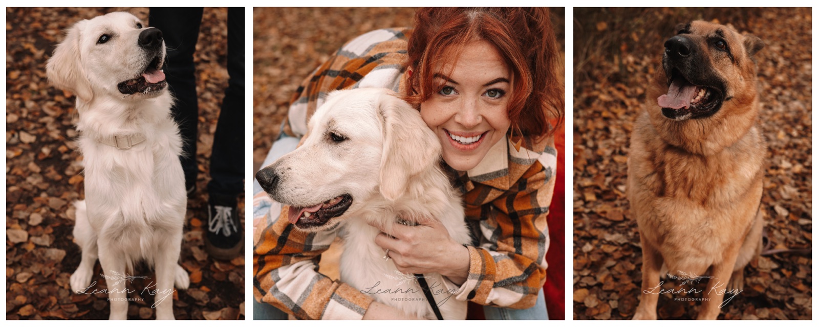 Pets & Registered Animals Coverage